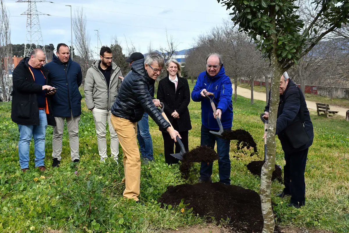 La Mitja Marató tweet media