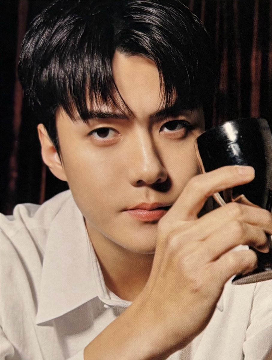 milkteus's tweet photo. new photos of sehun from exo-l japan official book planet #21 🍷🤍

©SailorSEHUN https://t.co/tTDT48SxcR