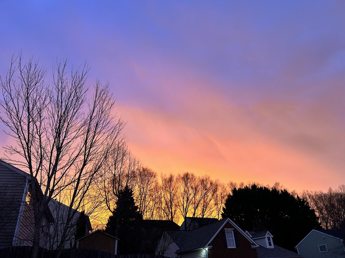 Liesel 🤍 tweet media