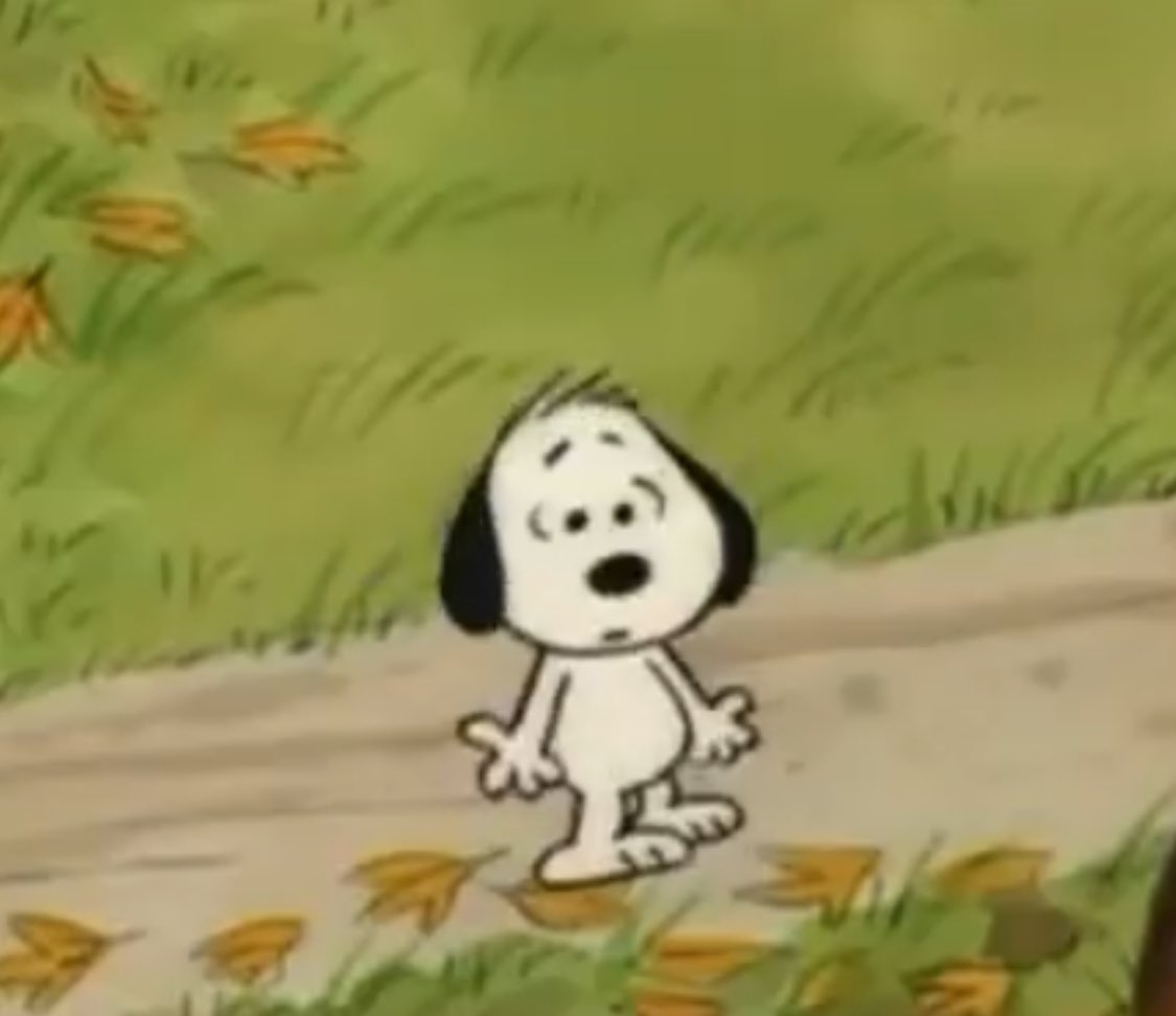 1234beepbooop's tweet image. i am snoopy. snoopy is me.