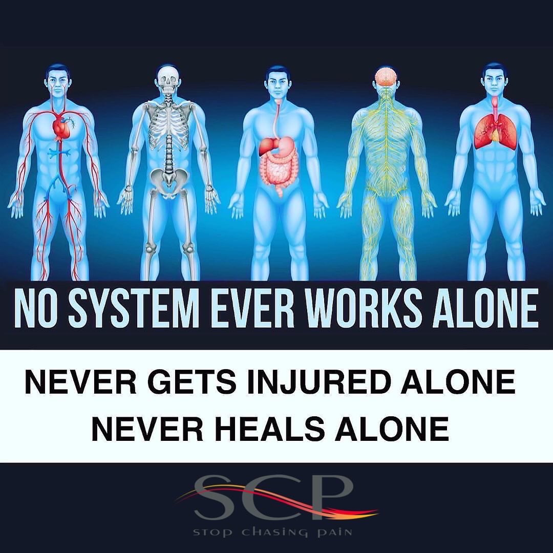stopchasingpain's tweet photo. I’ve been treating people with chronic pain for 30 years and the one thing I can tell you without hesitation… you won’t fix chronic pain just treating this site of pain. You have to look at the whole person and all the systems of the body. https://t.co/vBI3363Ovt