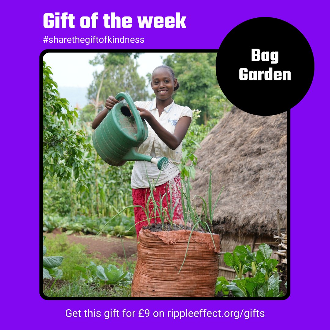 Ripple Effect tweet media