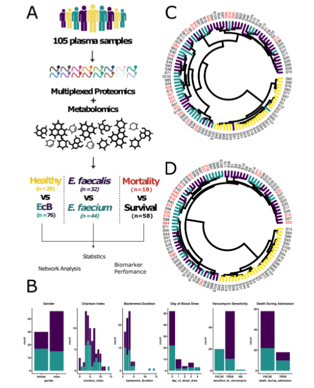 ASM (@asmicrobiology) on Twitter photo This <a href="/mSystemsJ/">EIC Jack Gilbert</a> study reveals multi-omic host response signatures response associated with the presence, type and outcome of enterococcal bacteremia (EcB), identifying features that can discriminate EcB infection from healthy states. Learn more: asm.social/2gJ This <a href="/mSystemsJ/">EIC Jack Gilbert</a> study reveals multi-omic host response signatures response associated with the presence, type and outcome of enterococcal bacteremia (EcB), identifying features that can discriminate EcB infection from healthy states. Learn more: asm.social/2gJ
