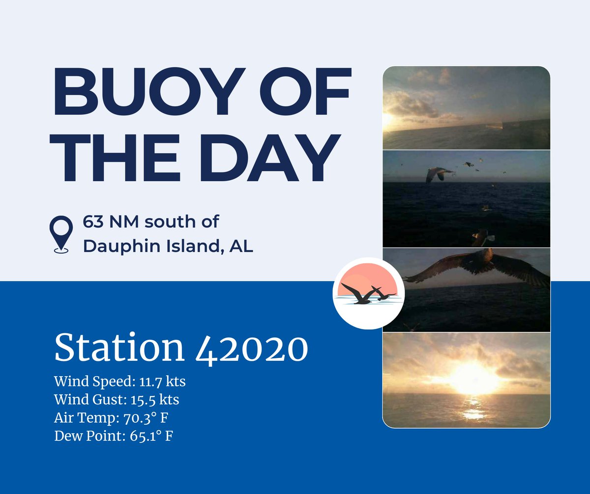 Buoy of the Day:
Station 42020, located south of Dauphin Island, welcomed some feathered guests this morning—though the weather was anything but foul. With calm seas and temperatures around 70°, these visitors had a perfect view of today's sunrise.