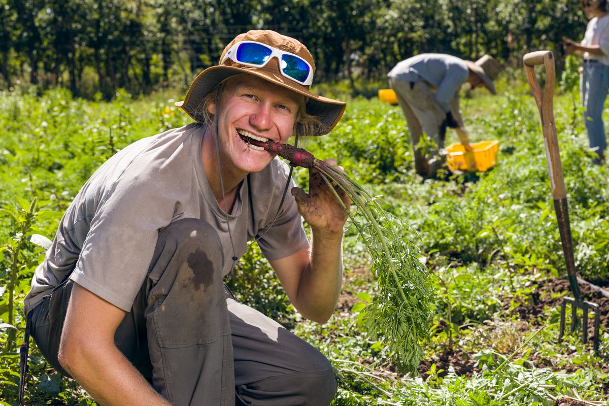 Fort Lewis College's beginning farmer programming was developed with funding through their USDA-NIFA BFRDP project.

Learn more by listening to the Farm Answers podcast at farmanswers.captivate.fm or by viewing their project report on FarmAnswers.org.