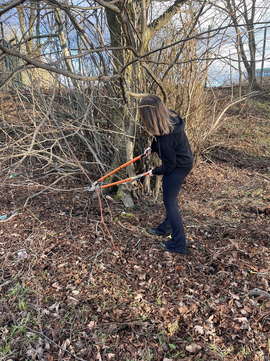 Science_HCross's tweet photo. Busy day at Forest School! We coppiced some lime tree branches for whittling tent pegs and crafted a bow and arrow from willow branches. A day full of #Teamwork, #NewSkills, and #ResilienceBuilding! @holycrossham https://t.co/2uEAEm2e94