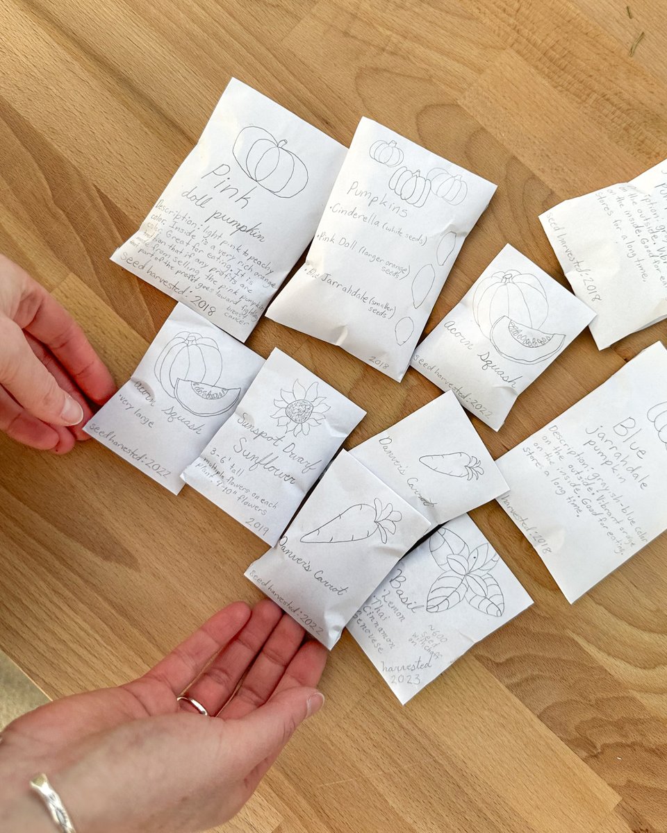 Mulhalls's tweet image. Believe it or not, spring is just around the corner – and that means it’s time to gather your seeds for another season in the garden 🌿 Learn more: bit.ly/40H8ijZ

#mymulhalls #seedstarting #Greenhouse #mulhalls #houseplants #omaha #seedswap