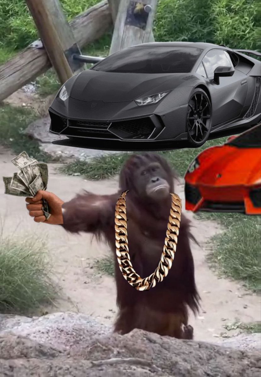 gib on Base tweet media