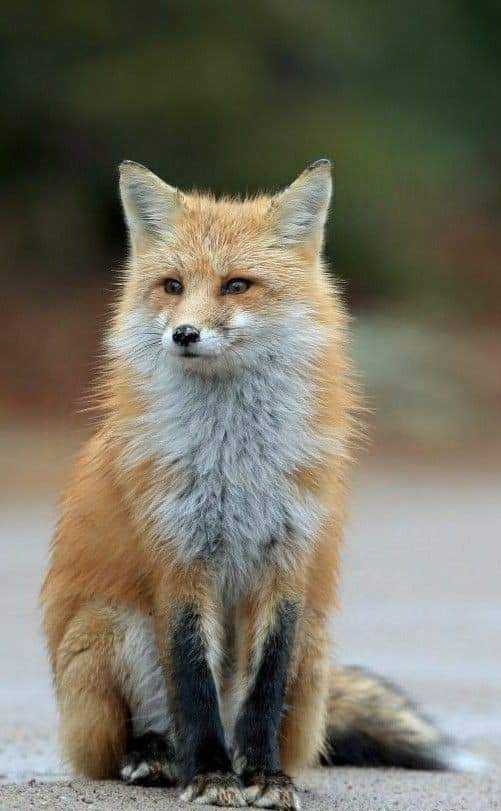 polaleks's tweet image. 