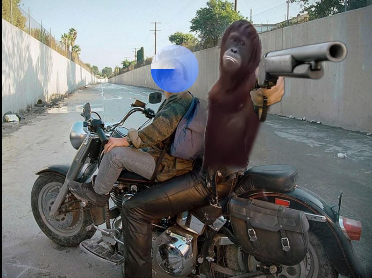 gib on Base tweet media