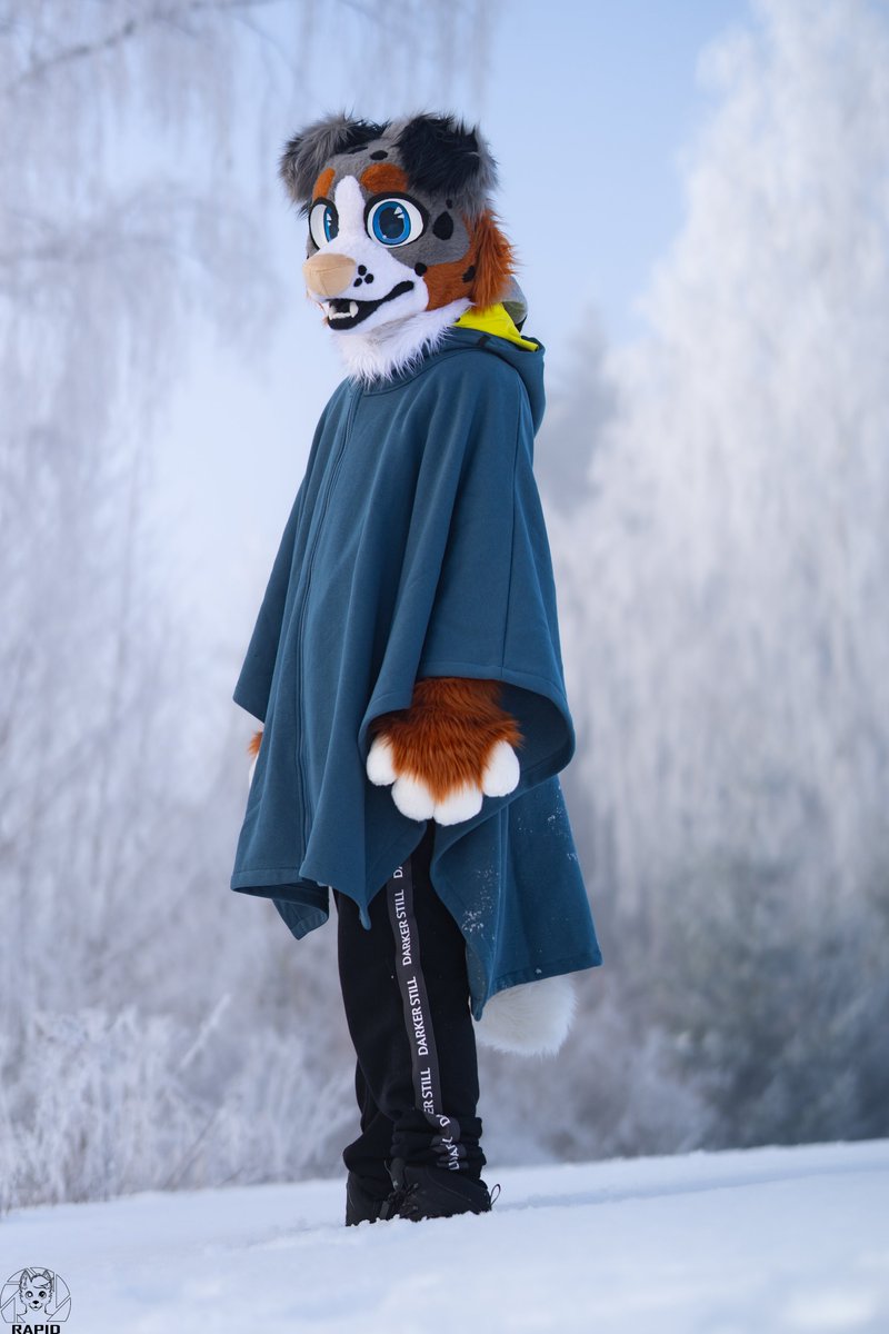 Winter time
📷<a href="/RapidtheHusky/">Rapid</a>
🧵<a href="/ArtOfShin1/">ShinarriFursuits</a>