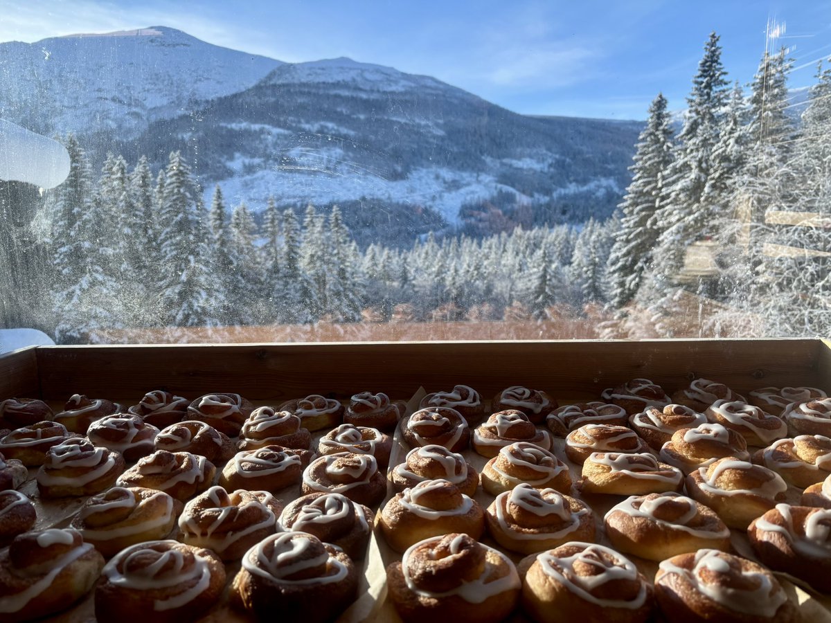 fjellshepherd's tweet photo. Today we baked! https://t.co/SMpaUISjOY