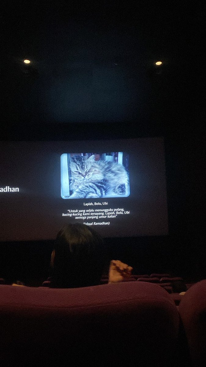 Ditasaviraaaa's tweet photo. "Untuk yang selalu menungguku pulang, kucing-kucing kami yg tersayang Lapish, Bolu dan Ubu semoga panjang umur kalian - @iqbaale

gemes bangett, para anabull kalian dirayakann🫶🏻😻 https://t.co/CTTdPuMxAm