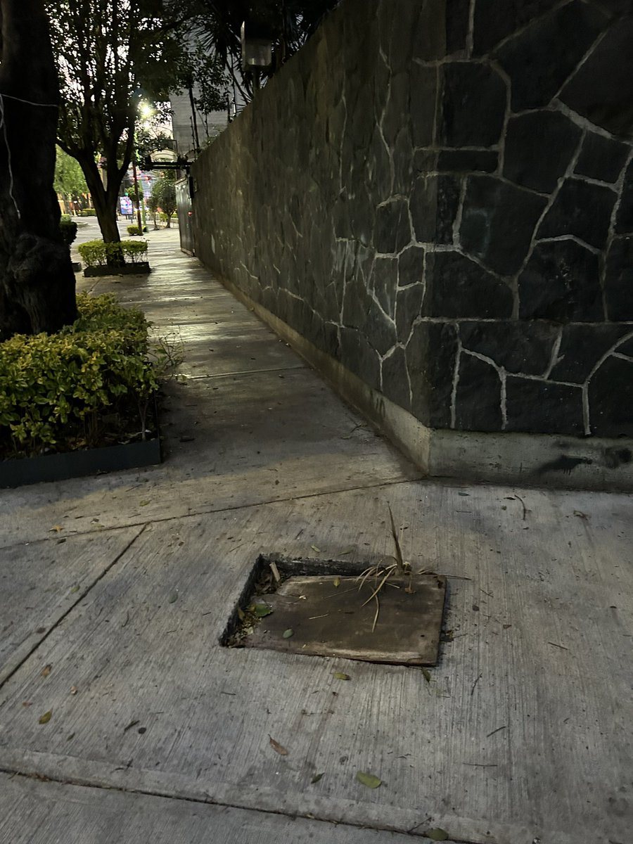 dan_glez's tweet photo. @AlessandraRdlv Por favor urge que tapen esta coladera, lleva casi un año destapada y está muy peligrosa. Tamaulipas esquina con Ciencias, Col Condesa https://t.co/UTkcWHkNN8