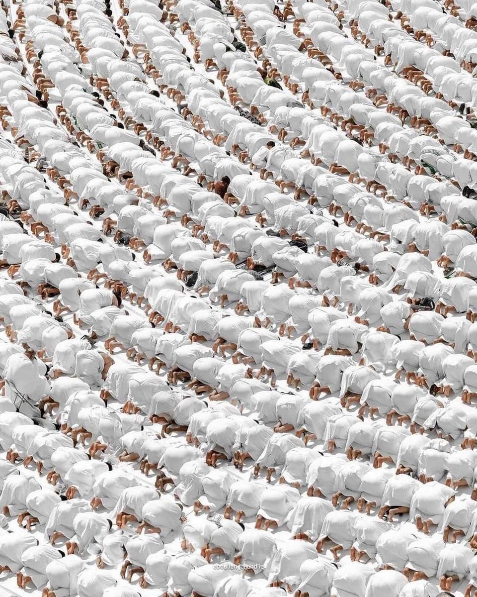 لا تمر عليك التغريدة الا و وضعت شيء تؤجر عليه 🤍