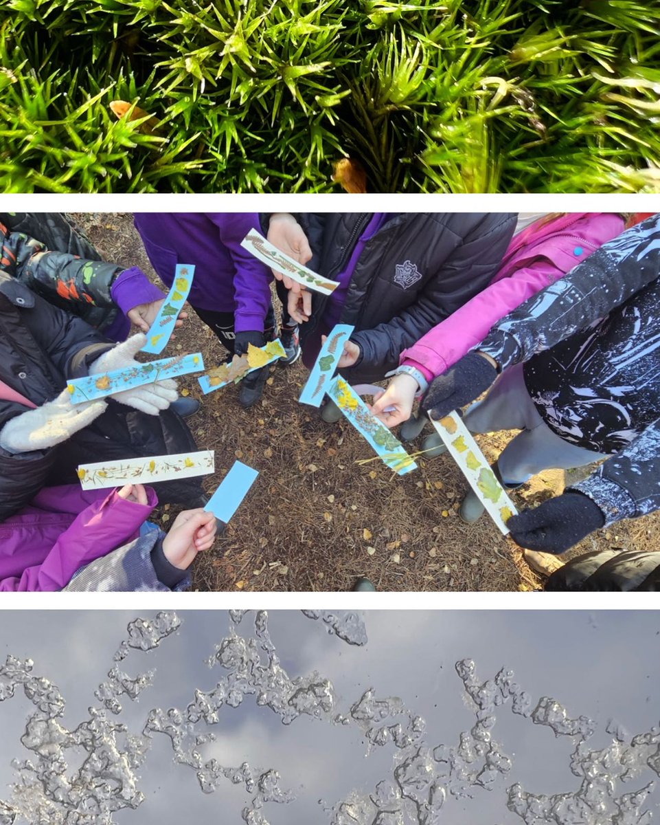 Such a stunning day today.☀️
The days are slowly getting longer too! 
#outdooreducation #newforestnationalpark