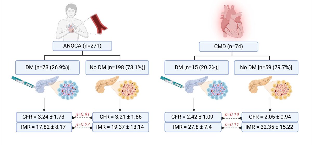 Kalyan Chitturi (@kalchitturi) on Twitter photo Just published in <a href="/ccijournal/">CCIjournal</a>, our analysis of the Coronary Microvascular Disease Registry (NCT5960474) showed patients with ANOCA and diabetes presented with more comorbidities, although there was no difference in CMD physiology parameters. Just published in <a href="/ccijournal/">CCIjournal</a>, our analysis of the Coronary Microvascular Disease Registry (NCT5960474) showed patients with ANOCA and diabetes presented with more comorbidities, although there was no difference in CMD physiology parameters.