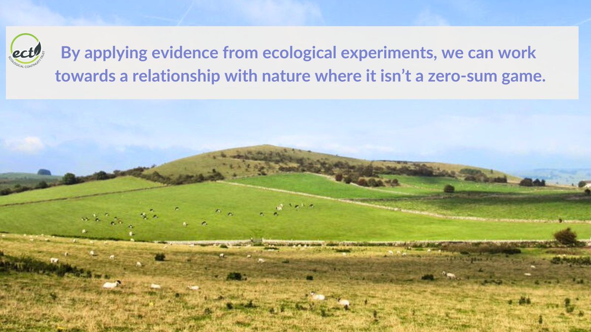 The balance has not gone far enough towards #nature. We can help nature &amp; ourselves. By applying #evidence from ecological experiments, we can work towards a relationship with nature where it isn’t a zero-sum game. &amp; #LongTermExperiments can be useful for yielding such evidence.