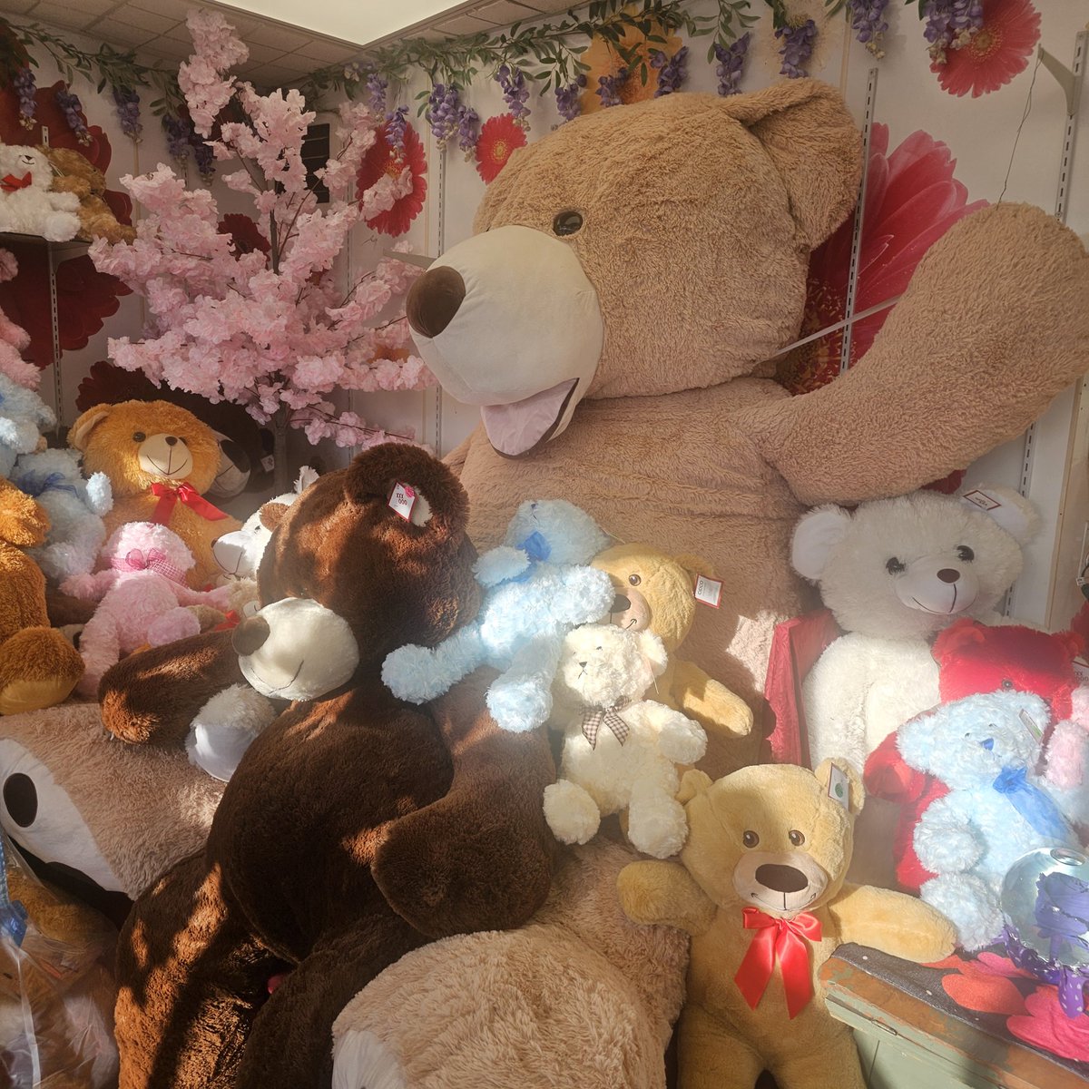 Boston_Florist's tweet photo. @amaBoston Here's a peak inside the shop #AMABCHAT https://t.co/MFfAYzPzNK