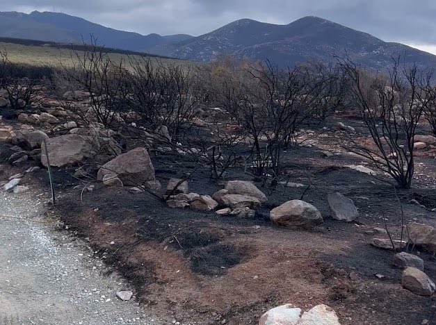 CALFIRESANDIEGO's tweet image. #Border2Fire [final] The fire is 6,625 acres and is now 100% contained. A huge thank you to everyone who assisted us with this fire. Your support and teamwork are greatly appreciated!