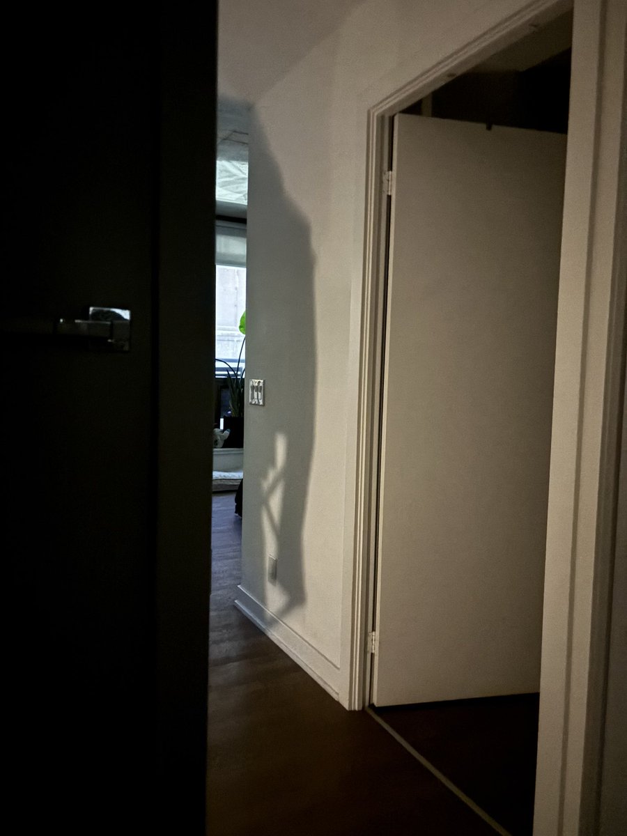 ThotDark's tweet photo. Trying to poop this morning and Nosferatu keeps asking if I’m finished. https://t.co/lxzdJzlumZ