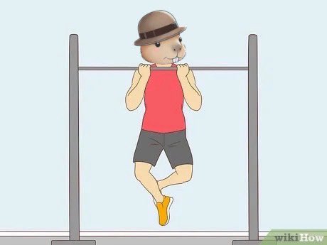 did you
pull up
today?
$paul $algo