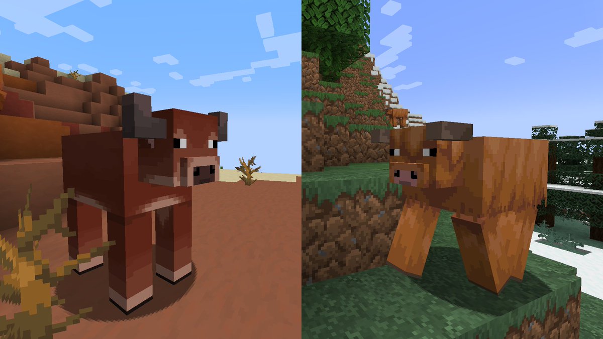 MultiPixelHD's tweet image. Firefly Bush &amp;amp; New Cows!