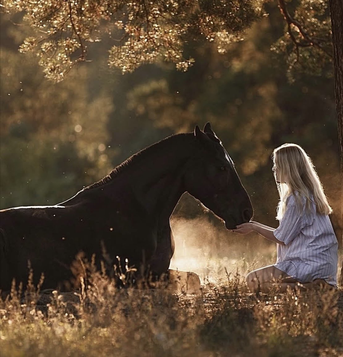 Nina Romano (@ninsthewriter) on Twitter photo <a href="/dmtoft/">David Toft</a> The Girl Who Loved ๐ Cayo Bradley
by Nina Romano
amazon.com/dp/1645405397
#HistoricalFiction #Romance #LoveStory #Apache ๐น#Cowboys #NewMexico #Western #Horses ๐ <a href="/dmtoft/">David Toft</a> The Girl Who Loved ๐ Cayo Bradley
by Nina Romano
amazon.com/dp/1645405397
#HistoricalFiction #Romance #LoveStory #Apache ๐น#Cowboys #NewMexico #Western #Horses ๐