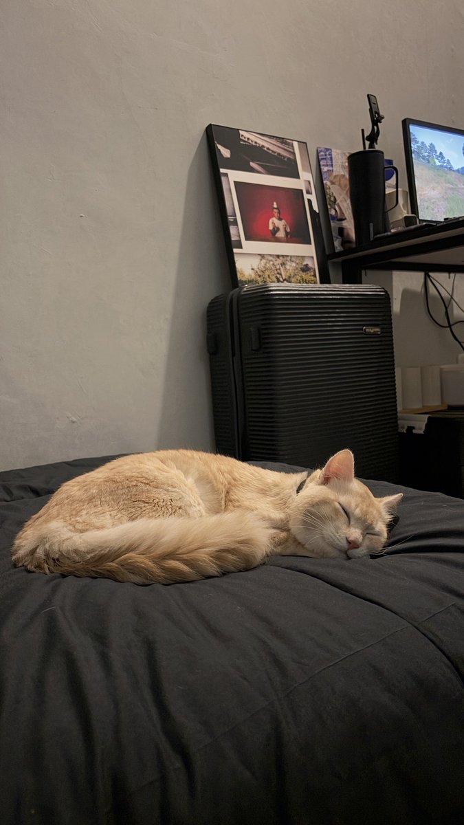 kia★ tweet media