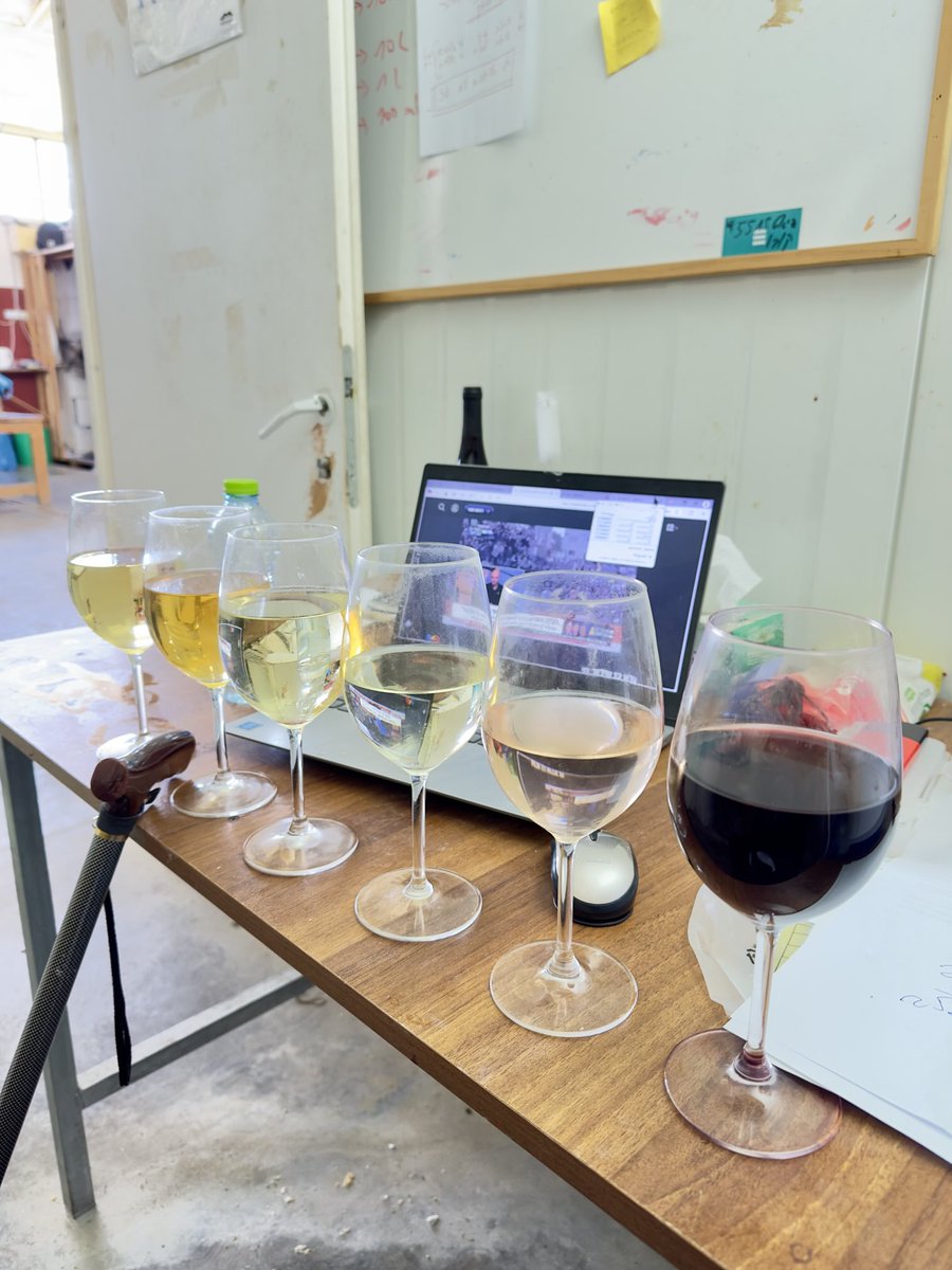 בשבוע הבא יבוקבקו ויוכנסו לתנומה קרירה.