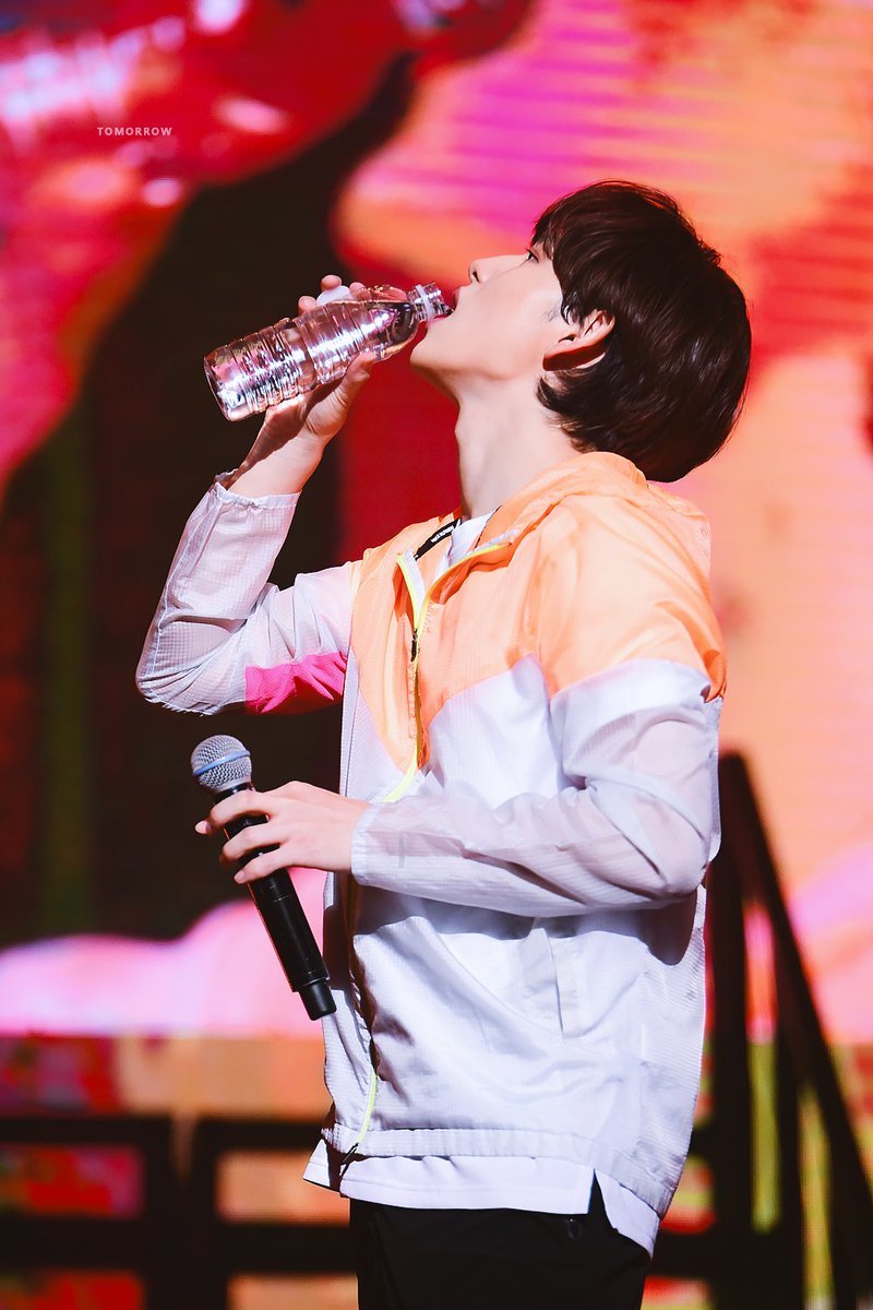 내일/tomorrow tweet media