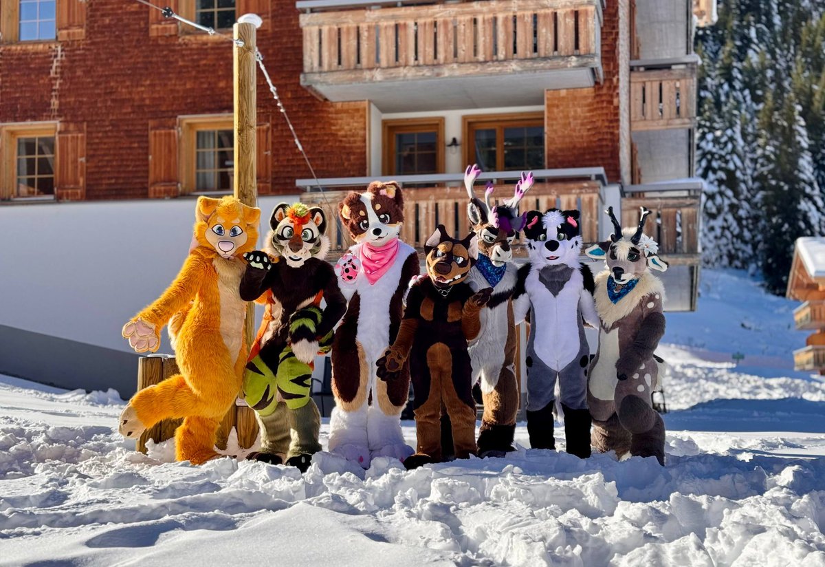 Carlito 🍀 tweet media