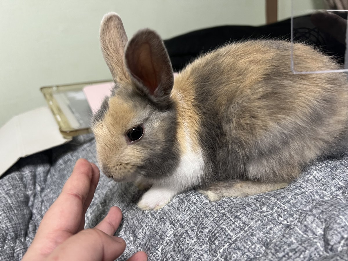 애가 이만해졌다고요