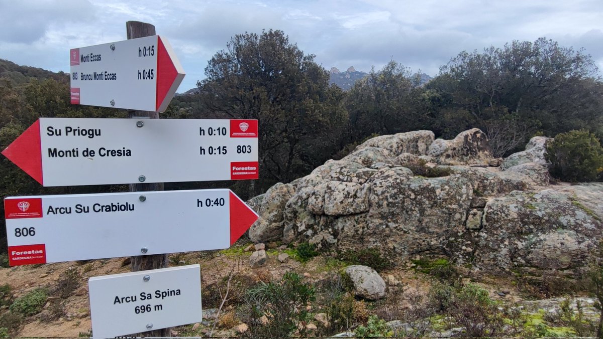 SardegnSentieri's tweet photo. Oggi la troupe del TGR Rai ha visitato con i tecnici Forestas la #ForestaDemaniale di Settefratelli per approfondire la #resilienza dei nostri #boschi rispetto al fenomeno del #Disseccamento (ormai noto come 𝑺𝒂 𝒔𝒊𝒄𝒄𝒂𝒈𝒏𝒂)...e che bei #sentieri!
👇🏻
https://t.co/uqO3f0mJbh https://t.co/A9xIkekyM8