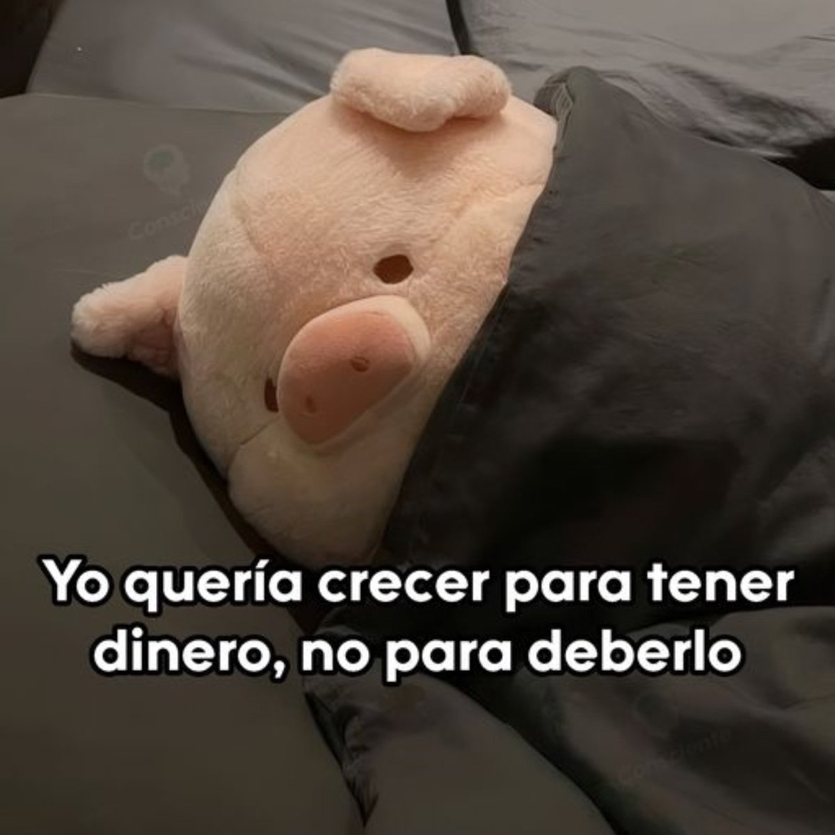 En Júpiter (@en_jupiter_) on Twitter photo 