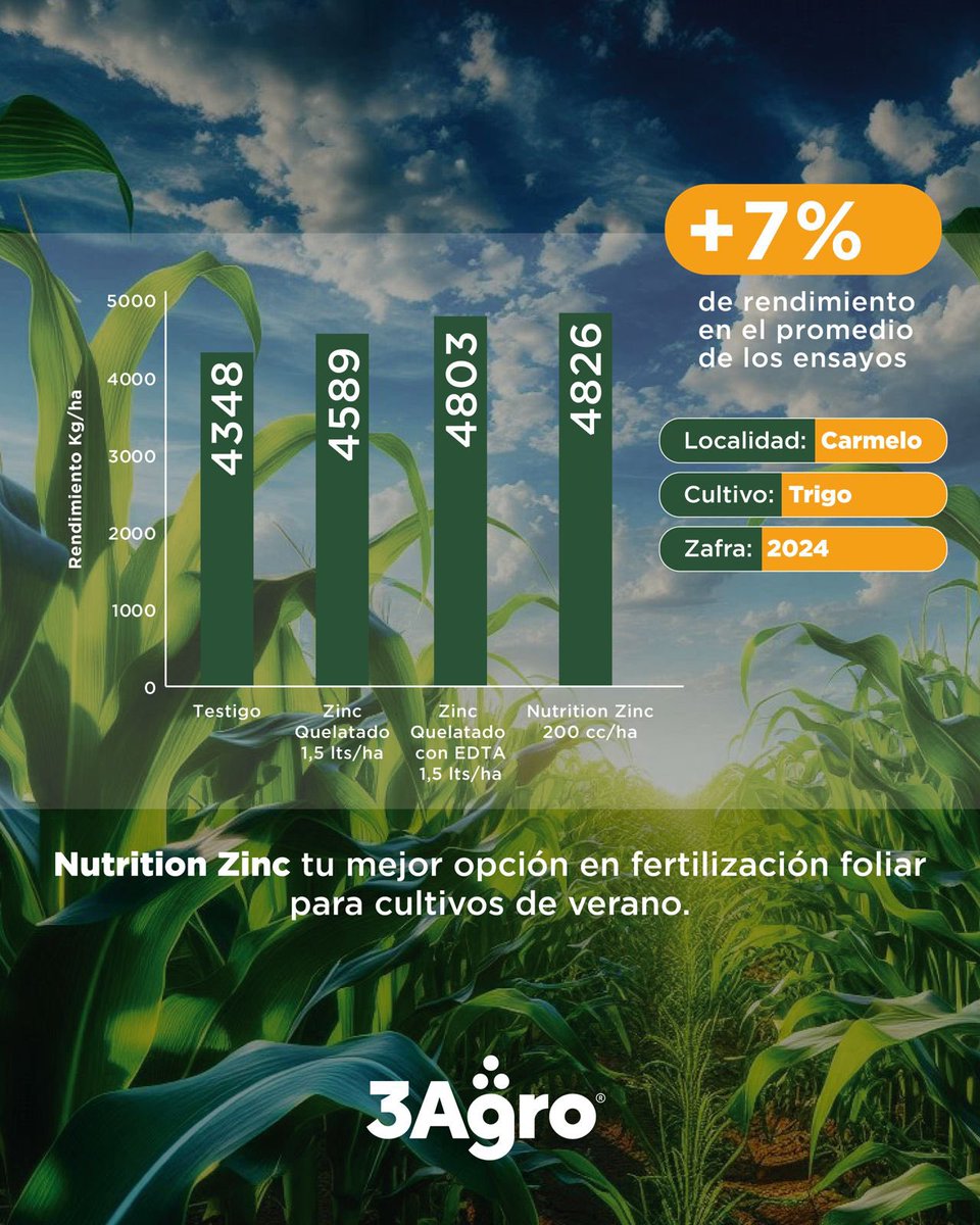 3agro's tweet photo. ɴᴜᴛʀɪᴛɪᴏɴ ᴢɪɴᴄ🌱⚡️

Tu mejor opción en fertilización foliar para cultivos de verano☀️▶️▶️

@AgerAgro 

#3agro https://t.co/bfvVomXEpW