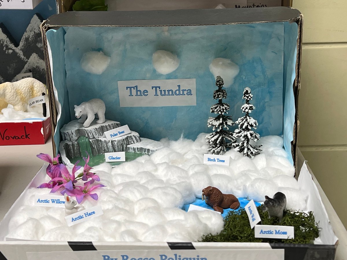 HolyCross_Dover's tweet photo. Crusader Science: Fifth-grade teacher Mrs. Ritzke invited all classes to view their Ecosystem Dioramas this week! The grasslands, woodlands, rainforests, and tundra were represented and the students were so creative! Great job Fifth grade! #crusaderproud https://t.co/Pg5WOdt1Gw