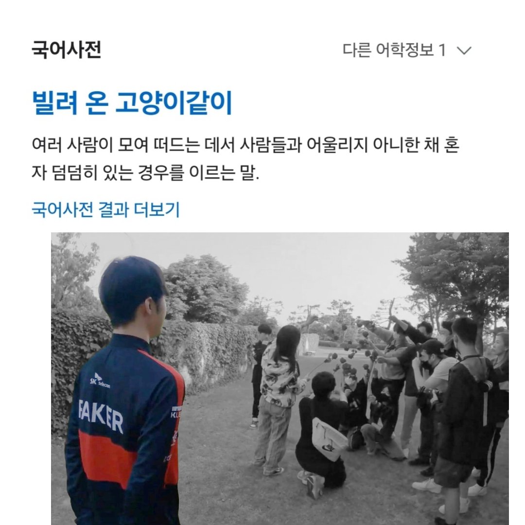 빌려 온 페냥이같이