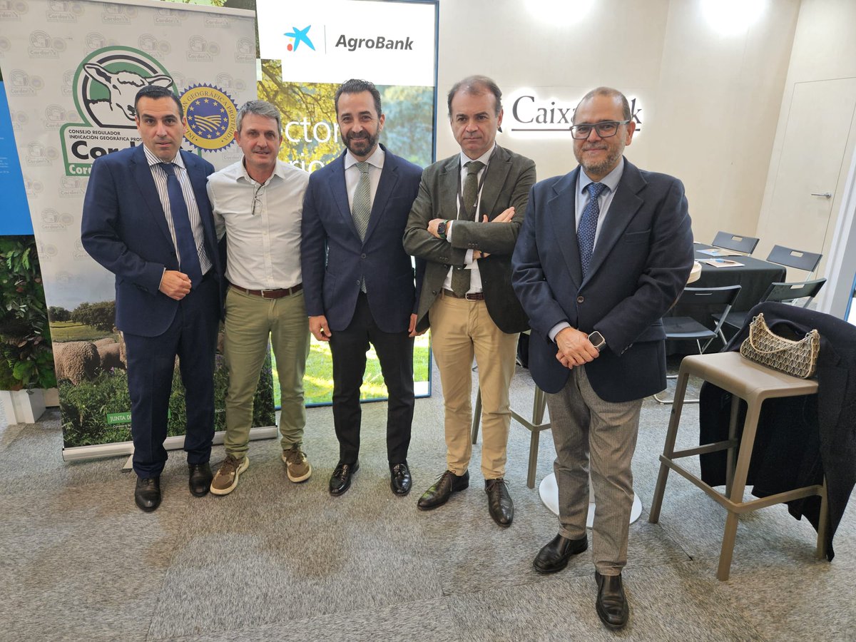 AgroBank_CABK's tweet photo. El segundo día @AgroexpoFeval 2025
🔸Reunión con #SAECA
🔸Mesa precios de cereal @LONJADEEXTREMAD
🔸Encuentro de la @ACVJSocial
🔸Visita del Delegado @Junta_Ex
🔸Degustación de aceite Cooperativa Virgen de la Estrella y caldereta de cordero de @igpcorderex https://t.co/ewNQ4kgXUB