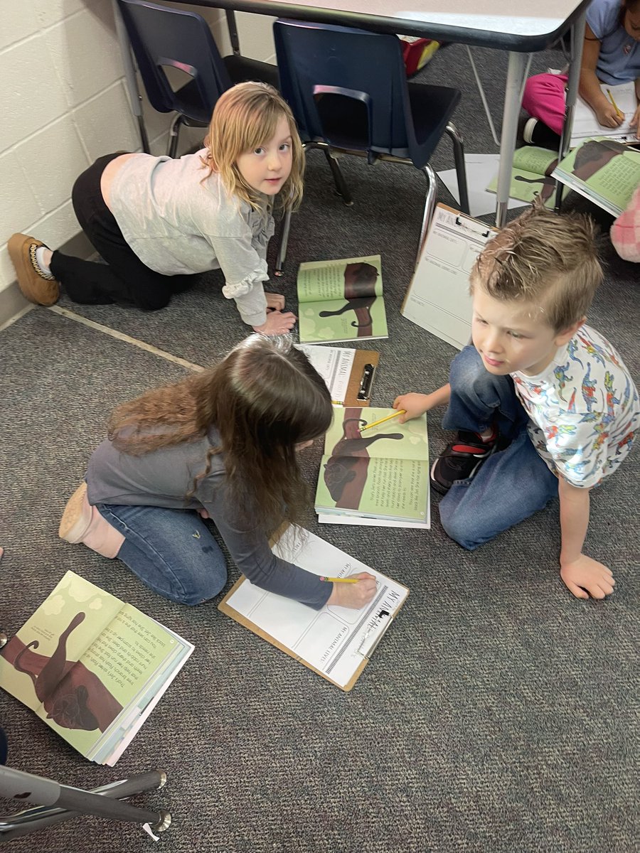 First grade planning their information writing about animals in skills! Love seeing them pull information from the text! #kcsdropedintoreading