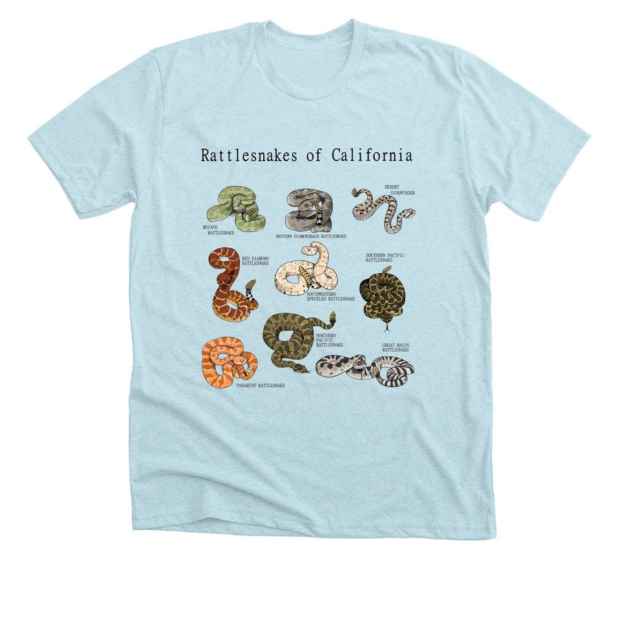 Emily Taylor tweet media