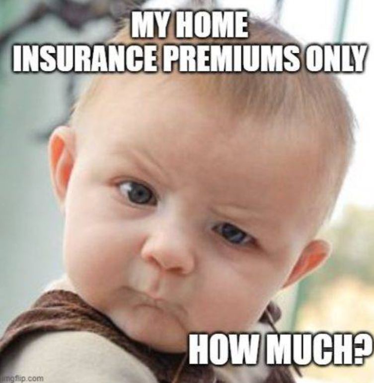 Abora Insurance Group tweet media