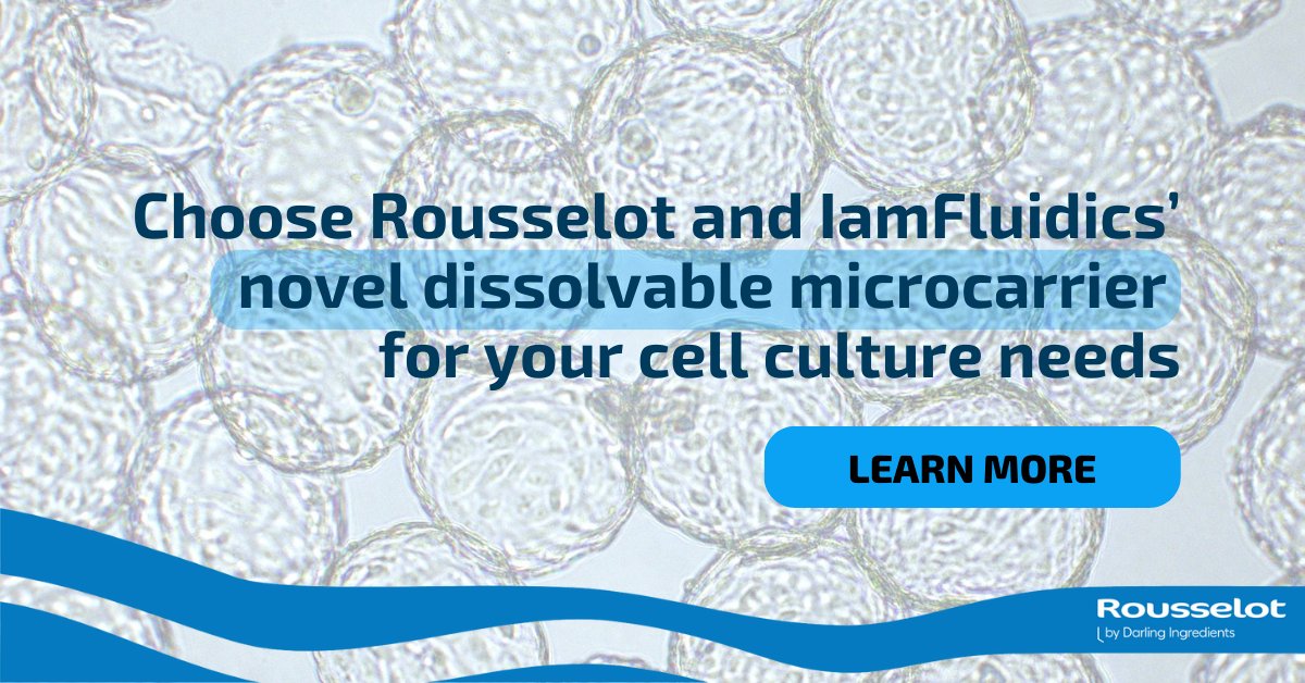 How can dissolvable microcarriers help to upgrade your cell culture?
 
Our dissolvable #microcarrier, developed with @IamFluidics, is coated in Rousselot’s collagen, providing a high yield, cost-effective, scalable cell culture system. 🧐
 
hubs.ly/Q034HDFw0