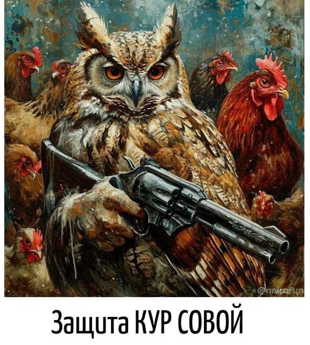 Gribanov's tweet photo. Внимание! https://t.co/gvqj5TA0WW