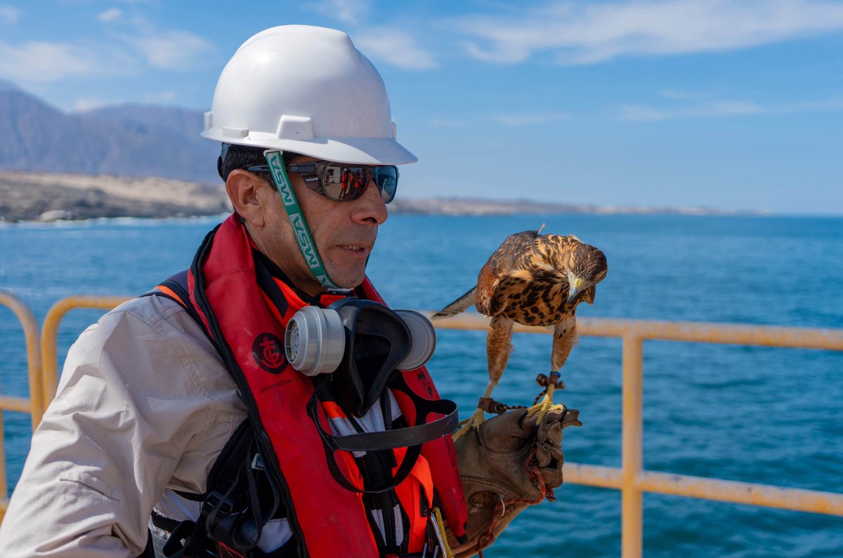 Antofagasta Minerals tweet media
