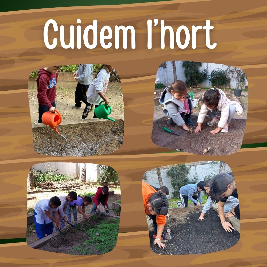 CUIDEM L'HORT!
Els  nens i nenes de l'escola Tomàs Moro hem estat treballant molt per a  preparar l'hort. Voleu veure les fotos de tota la feina que hem fet?  Doncs visiteu la carpeta del vostre curs.