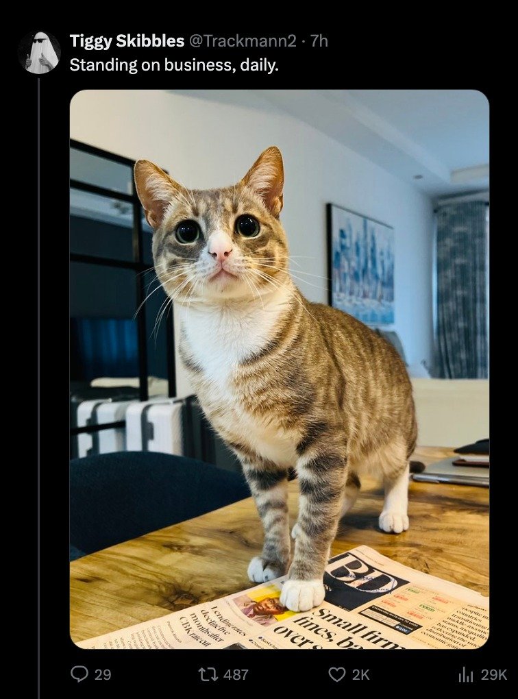 Hello <a href="/BD_Africa/">BusinessDaily</a>. 

<a href="/Trackmann2/">Dalai Lawama 🦙</a> deserves a one year free subscription to Business Daily for this meme alone.