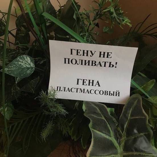 No Context Russia (@russia_nc) on Twitter photo 