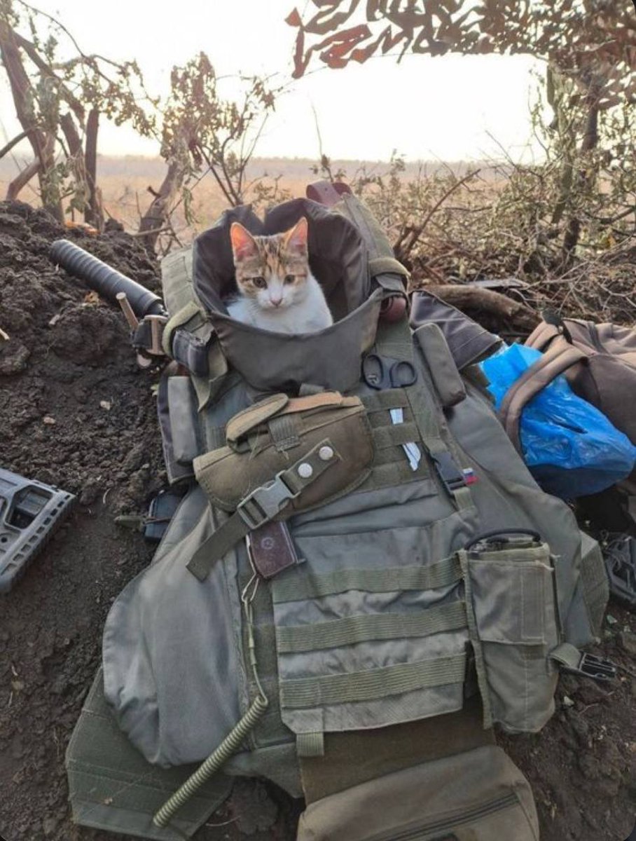 Russian Politics No Context (@rupolitics_nc) on Twitter photo 