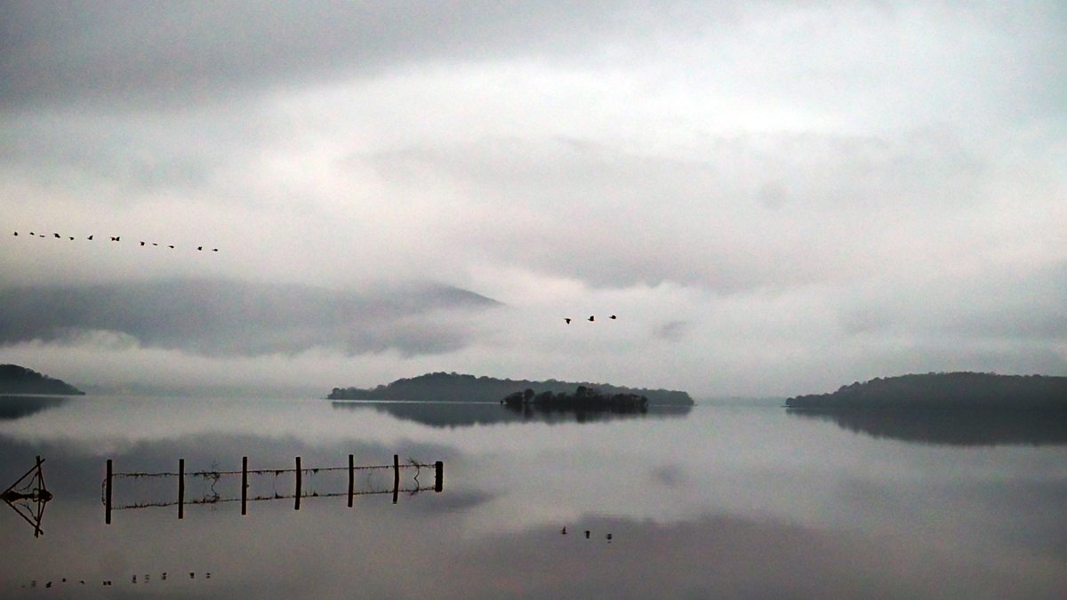 Early morning Goose Roost at <a href="/RSPBLochLomond/">RSPB Loch Lomond</a>